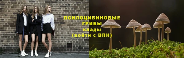 соль ск Мегион