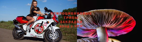 прущий лед Магадан