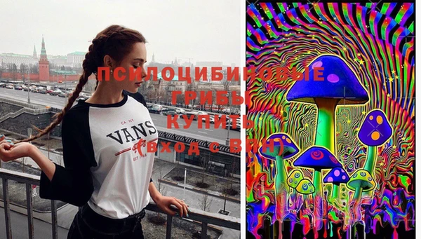бутират Анжеро-Судженск