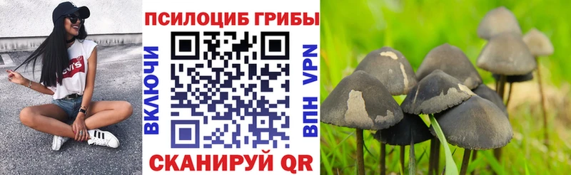 Псилоцибиновые грибы ЛСД Вилючинск